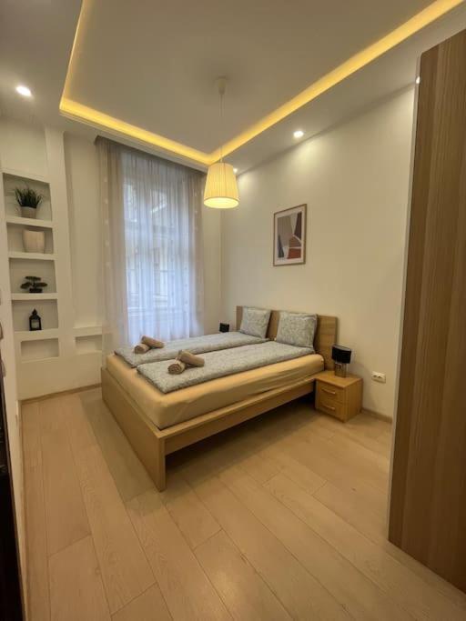 Szechenyi Renovated 2Br At Danube River Budapest Exterior photo